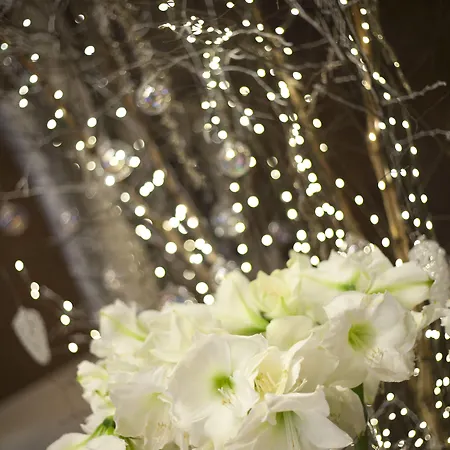 Vier Jahreszeiten Kempinski München