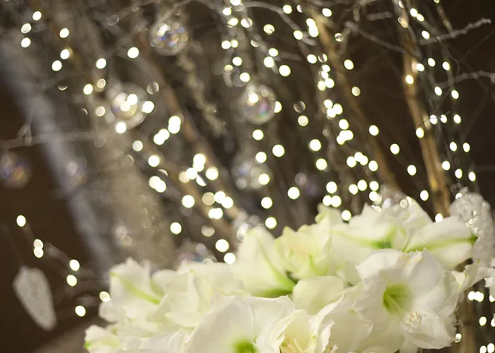 Vier Jahreszeiten Kempinski München